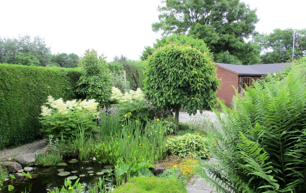 Llynclys The Garden Lodge מראה חיצוני תמונה